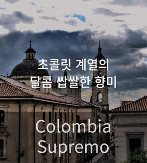 [원두] 원두커피 - 콜롬비아 수프리모 오리진 (Colombia Supremo Origin) 12kg