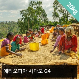 [생두] 에티오피아 시다모 G4(Natural) 20kg